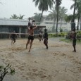 O.K. Do you remember about 10 years ago, maybe less, when a natural medicine for stress and anxiety, Kava Kava, was available in the health food stores?  Remember, if you [&hellip;]