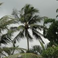 One of the reasons I came to Malaysia was because my father served here as part of the British Army due to the Malayan Emergency. The Malayan Emergency began in [&hellip;]