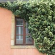I’m going to let these pictures speak for themselves and I will just note where they are from.  I find windows and doors fascinating.  Windows allow you a vision into [&hellip;]