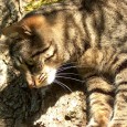 As I sit an ponder the importance of my blog and keeping up my verbal diarrhea, I wonder, is anyone really watching or reading for that matter.  I know some […]