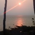Well the heat wave is continuing. However with all the wildfires burning in BC, and with the current air stream, the smoke has blown over the coast reducing visibility.  Normally […]