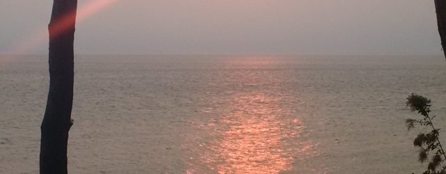 Well the heat wave is continuing. However with all the wildfires burning in BC, and with the current air stream, the smoke has blown over the coast reducing visibility.  Normally […]
